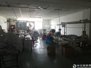寶安區(qū)福永白石廈新塘工業(yè)區(qū)精品廠房及教育場地出租